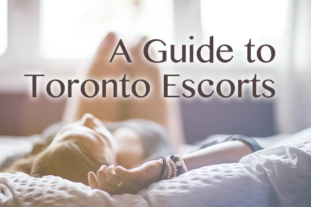 Find the best Toronto escort