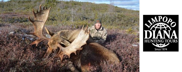 canadian bachelor parties guide hunting moose